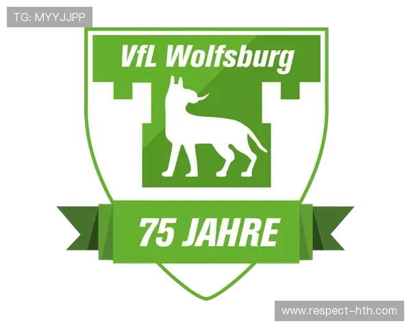 沃尔夫斯堡俱乐部最新动态与球员转会消息全解析